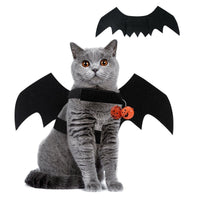 HKM-4319037 Halloween Black Wings Felt Pet Costume and Accessory Set