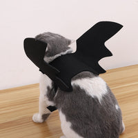 HKM-4319037 Halloween Black Wings Felt Pet Costume and Accessory Set