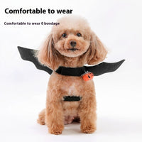 HKM-4319037 Halloween Black Wings Felt Pet Costume and Accessory Set