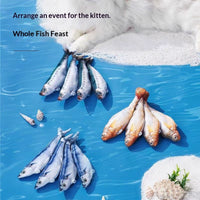HKM-4321469 Gravity Jumping Fish Cat Toy - Interactive Swaying Simulation in Multiple Colors