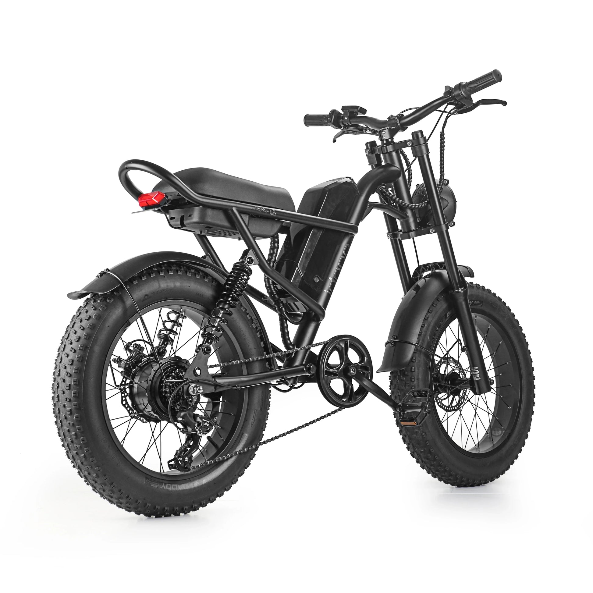 HKM-432467 1000W 20-Inch Fat Tire Electric Bike with 7-Speed Gears, Dual Lithium Batteries, and LCD Display