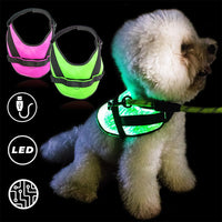 HKM-4328381 Luminous Pet Cloak for Dogs and Cats in Sweet Color Options