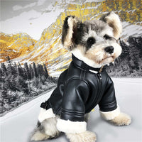 HKM-4328765 Thickened Velvet PU Leather Dog Jacket for Autumn Warmth, Casual Style