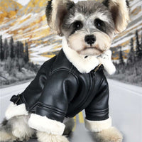 HKM-4328765 Thickened Velvet PU Leather Dog Jacket for Autumn Warmth, Casual Style