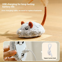 HKM-4331197 Interactive Plush Electric Mouse Cat Toy on a Pole for Self-Play and Stress Relief