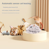 HKM-4331197 Interactive Plush Electric Mouse Cat Toy on a Pole for Self-Play and Stress Relief
