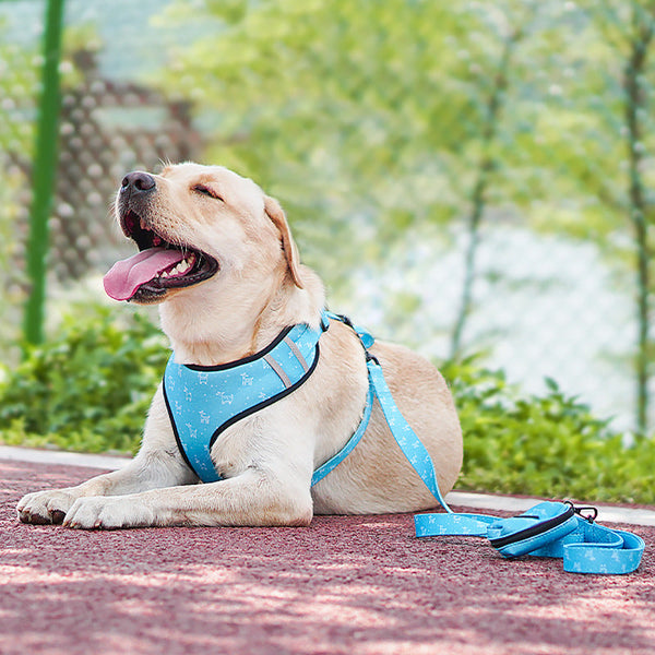 HKM-4335421 Pet Dog Leash Harness Set with Bow Tie and Triangle Scarf, 5 Sizes Available, Multiple Colors