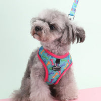 HKM-4341181 Adjustable Pet Chest Strap for Comfortable Dog Walking ¨C Available in Various Colors