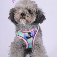 HKM-4341181 Adjustable Pet Chest Strap for Comfortable Dog Walking ¨C Available in Various Colors