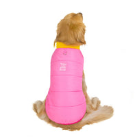 HKM-4346045 Cozy Polyester Pet Clothing for Autumn and Winter - Casual Style for Dogs