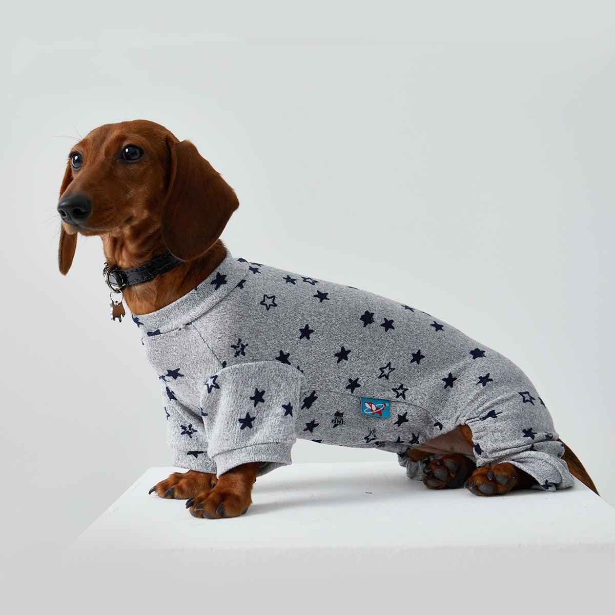 HKM-4346429 Thin Striped Casual Pet Clothing for Spring and Summer - Four-Legged Homewear