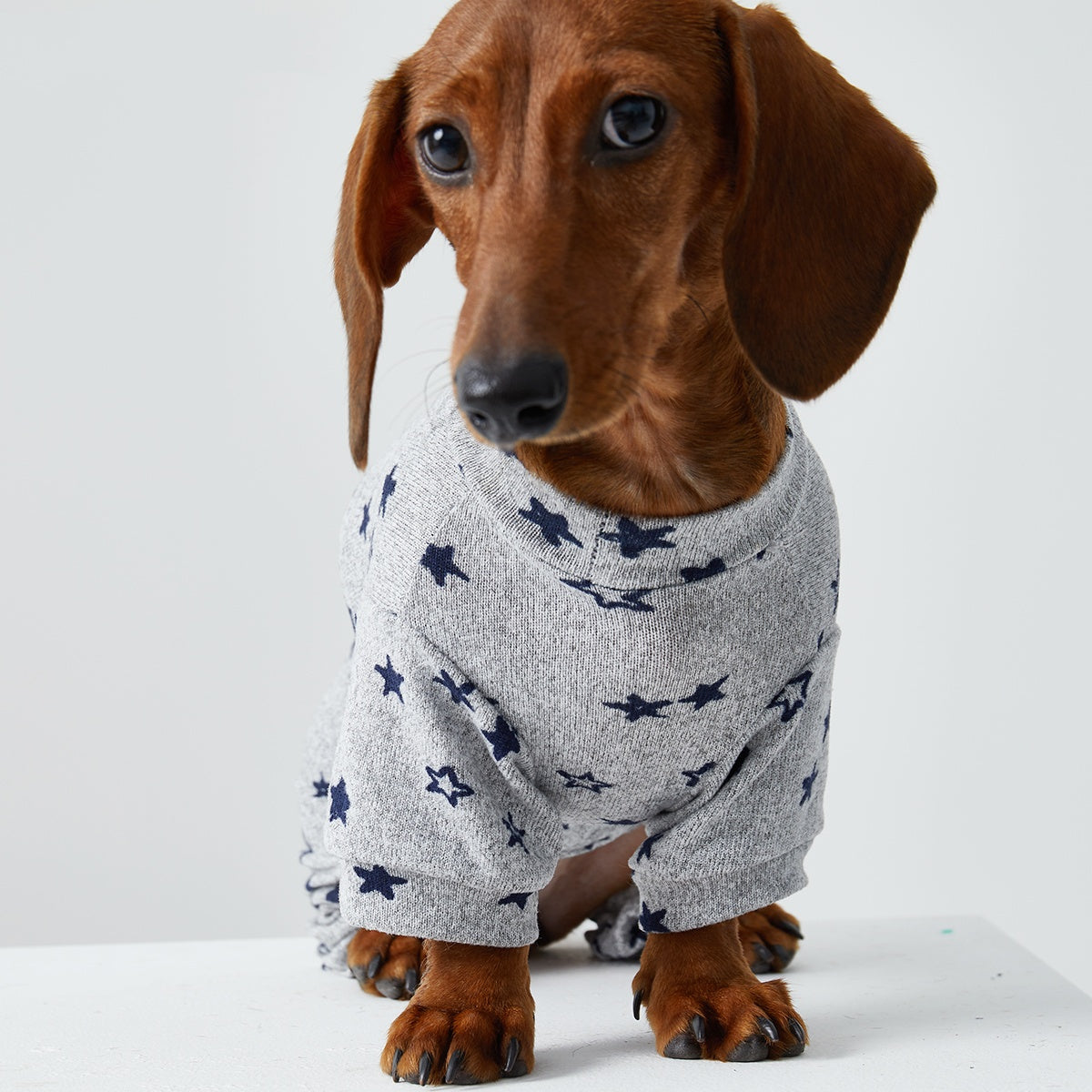 HKM-4346429 Thin Striped Casual Pet Clothing for Spring and Summer - Four-Legged Homewear