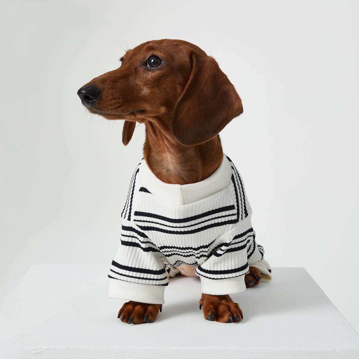 HKM-4346429 Thin Striped Casual Pet Clothing for Spring and Summer - Four-Legged Homewear
