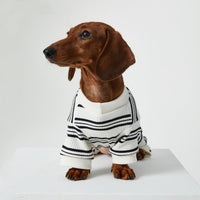 HKM-4346429 Thin Striped Casual Pet Clothing for Spring and Summer - Four-Legged Homewear