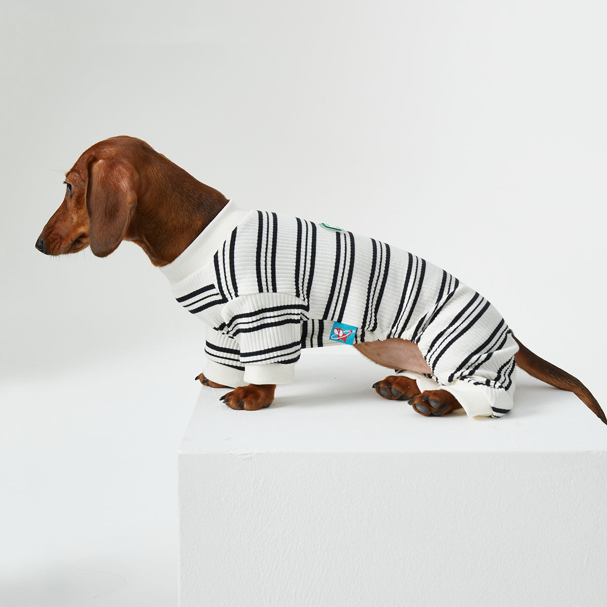 HKM-4346429 Thin Striped Casual Pet Clothing for Spring and Summer - Four-Legged Homewear