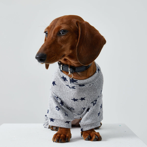 HKM-4346429 Thin Striped Casual Pet Clothing for Spring and Summer - Four-Legged Homewear