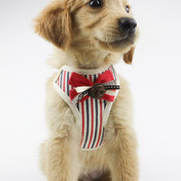 HKM-4346941 Breathable Mesh Pet Chest Harness Vest with Scalable Design