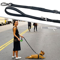 HKM-4347453 Durable Dog Walking Leash with Big Hook - Available in Multiple Colors