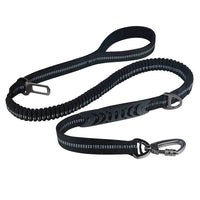 HKM-4347453 Durable Dog Walking Leash with Big Hook - Available in Multiple Colors