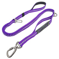 HKM-4347453 Durable Dog Walking Leash with Big Hook - Available in Multiple Colors