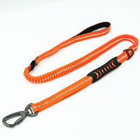HKM-4347453 Durable Dog Walking Leash with Big Hook - Available in Multiple Colors