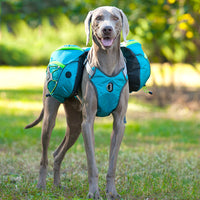 HKM-4349885 Pet Self Backpack for Medium and Large Dogs - Water-Repellent Fabric with Detachable Chest Harness in Purple, Orange, Blue
