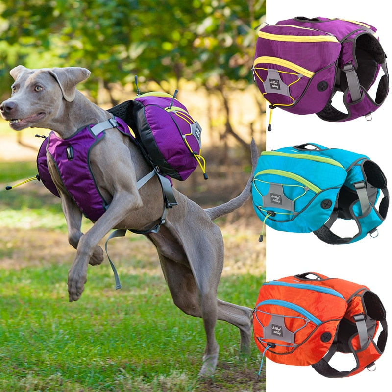 HKM-4349885 Pet Self Backpack for Medium and Large Dogs - Water-Repellent Fabric with Detachable Chest Harness in Purple, Orange, Blue