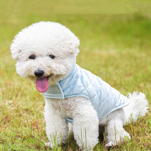 HKM-4353213 Warm Velvet Pet Clothes for Autumn and Winter - Multiple Colors and Sizes Available