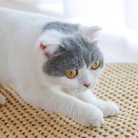 HKM-4353597 Large Anti-Scratch Sisal Cat Pad for Durable Furniture Protection