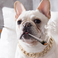 HKM-4355389 Geometric Gold Metal Dog Chain Collar - Various Lengths for Neck Sizes