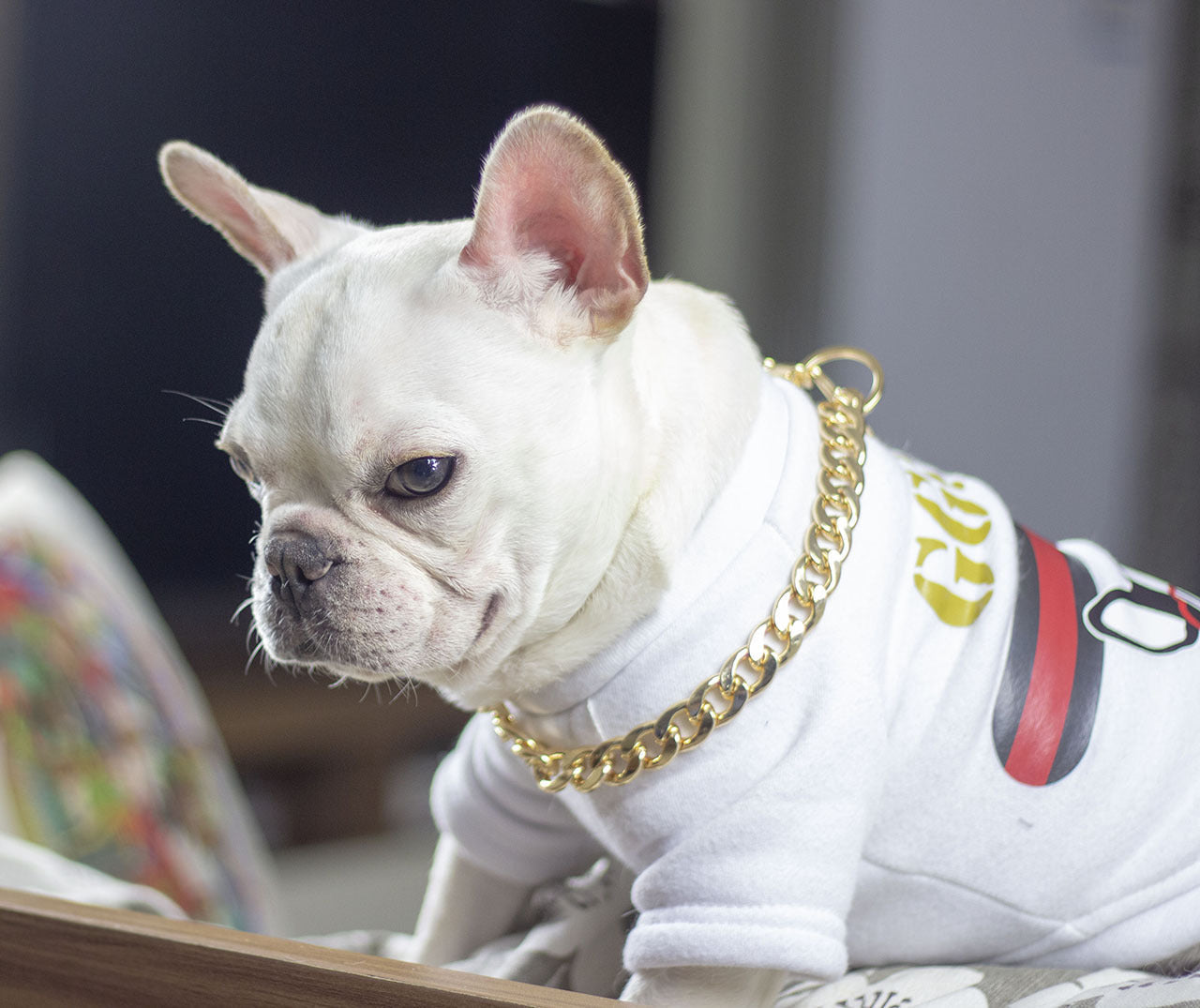 HKM-4355389 Geometric Gold Metal Dog Chain Collar - Various Lengths for Neck Sizes