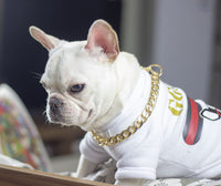 HKM-4355389 Geometric Gold Metal Dog Chain Collar - Various Lengths for Neck Sizes