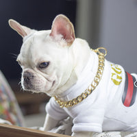 HKM-4355389 Geometric Gold Metal Dog Chain Collar - Various Lengths for Neck Sizes