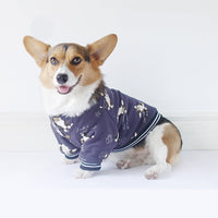 HKM-4357565 Winter Dog Clothes in Cotton - Purple & Dark Blue, Sizes XS to XXL