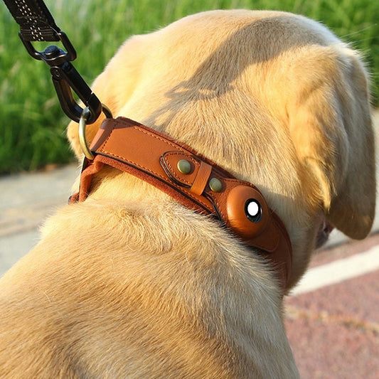 HKM-435987 Leather Location Tracker Dog Collar in Monochrome Colors - Black, Army Green, Orange