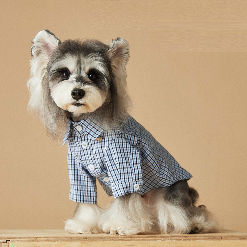 HKM-4360765 Light Blue Summer Plaid Shirt for Small Dogs - Cotton, Sizes XS to XXL