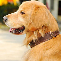 HKM-4361149 Leather Dog Collar for Medium and Large Dogs - Cowhide in Dark Brown, Black, or Wine Red