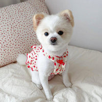HKM-4361533 Summer Teddy Skirt Dress for Dogs in Yellow, Red, and Pink - Lightweight Pet Apparel