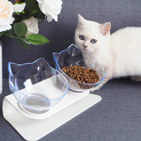 HKM-4365117 Transparent Double Pet Bowl with Oblique Mouth and Neck Guard - Non-Ceramic Design