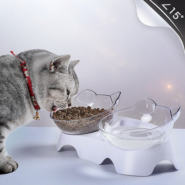 HKM-4365117 Transparent Double Pet Bowl with Oblique Mouth and Neck Guard - Non-Ceramic Design