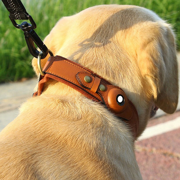 HKM-4370877 Leather Dog Collar with Location Tracker - Black, Army Green, Orange, Sizes S to L