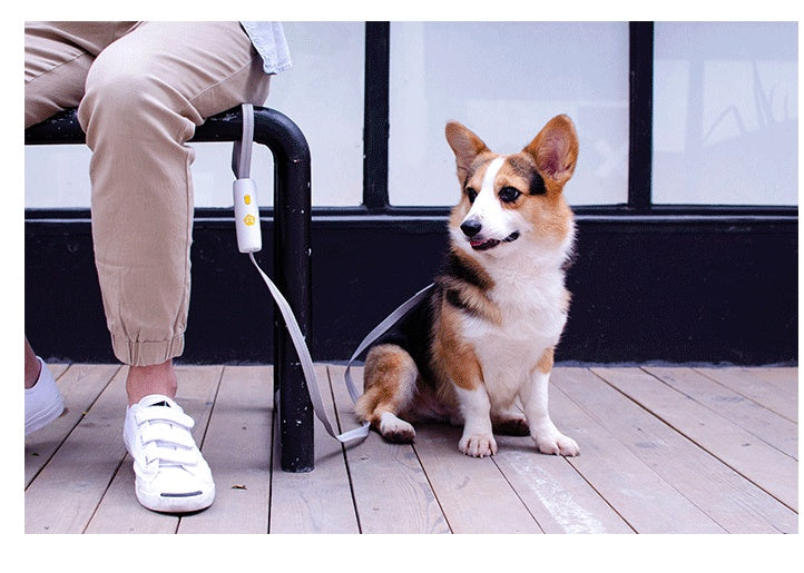 HKM-4374461 Hands-Free Elastic Dog Leash for Small and Medium-Sized Dogs, Adjustable Length, Durable Nylon and Polyester Material