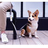 HKM-4374461 Hands-Free Elastic Dog Leash for Small and Medium-Sized Dogs, Adjustable Length, Durable Nylon and Polyester Material