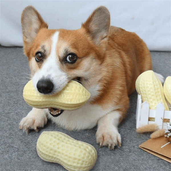HKM-4375485 Interactive Pet Dog Sound Toy for Boredom Relief, TPR Material, Multi-Color Options