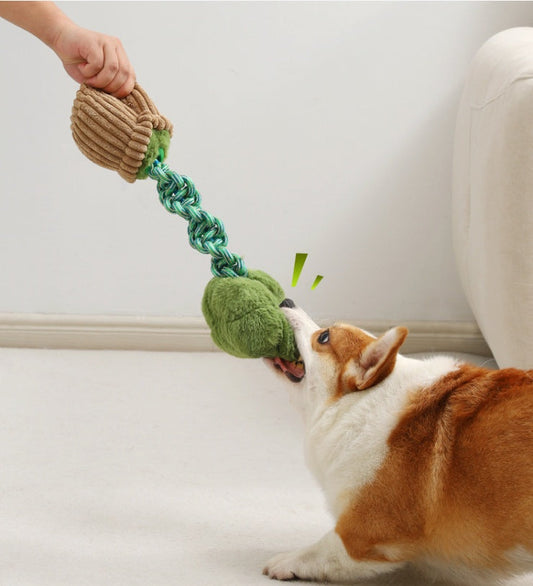 HKM-4387005 Durable Dog Teether Knot Toy - Bite-resistant Polyester in Mushroom and Broccoli Colors