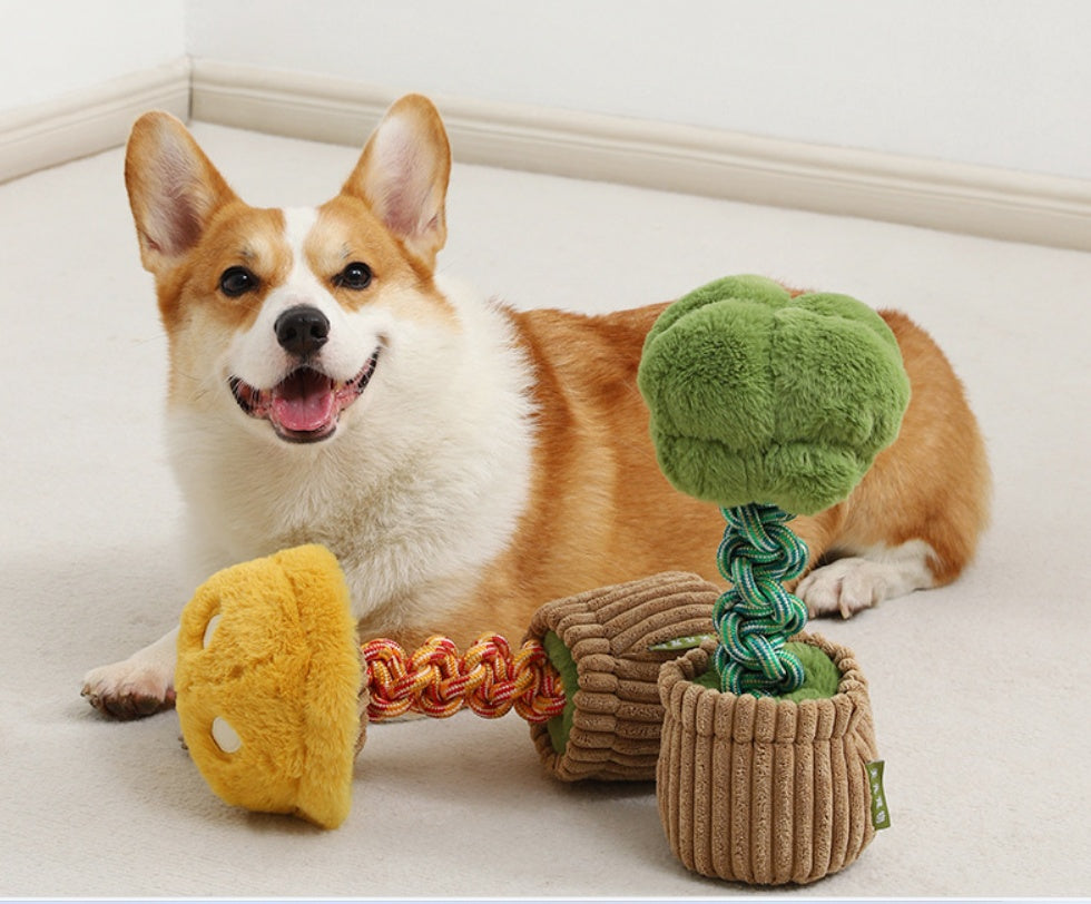 HKM-4387005 Durable Dog Teether Knot Toy - Bite-resistant Polyester in Mushroom and Broccoli Colors