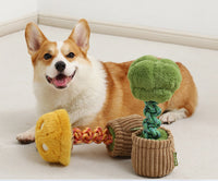 HKM-4387005 Durable Dog Teether Knot Toy - Bite-resistant Polyester in Mushroom and Broccoli Colors