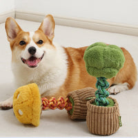HKM-4387005 Durable Dog Teether Knot Toy - Bite-resistant Polyester in Mushroom and Broccoli Colors