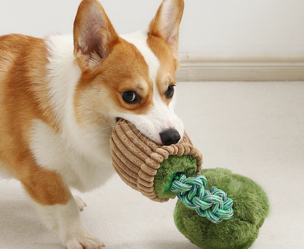 HKM-4387005 Durable Dog Teether Knot Toy - Bite-resistant Polyester in Mushroom and Broccoli Colors
