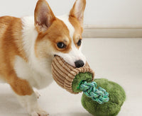 HKM-4387005 Durable Dog Teether Knot Toy - Bite-resistant Polyester in Mushroom and Broccoli Colors